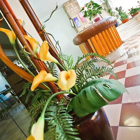 Atis Hotel Bellaria-Igea Marina