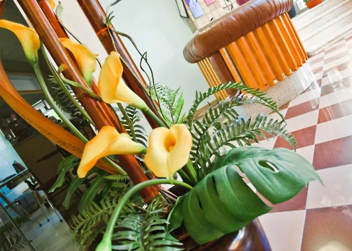 Atis Hotel Bellaria-Igea Marina