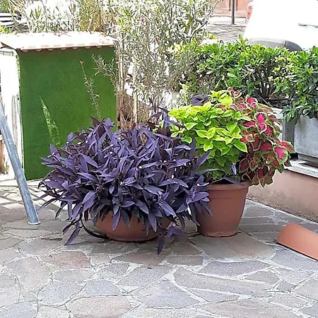Atis Hotel Bellaria-Igea Marina